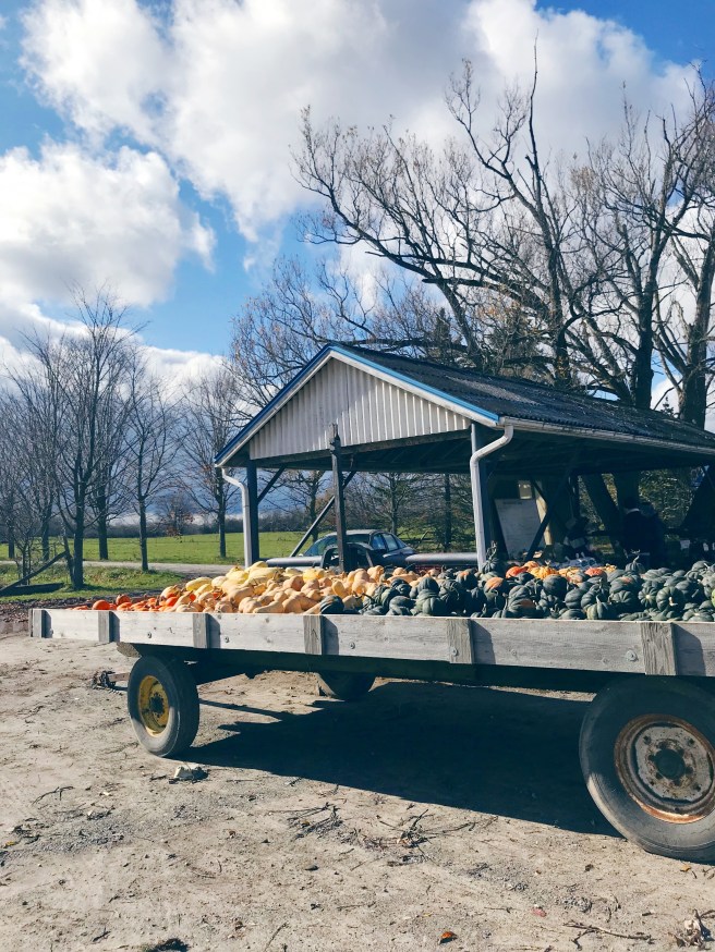 Veggie Stand Bloomfield